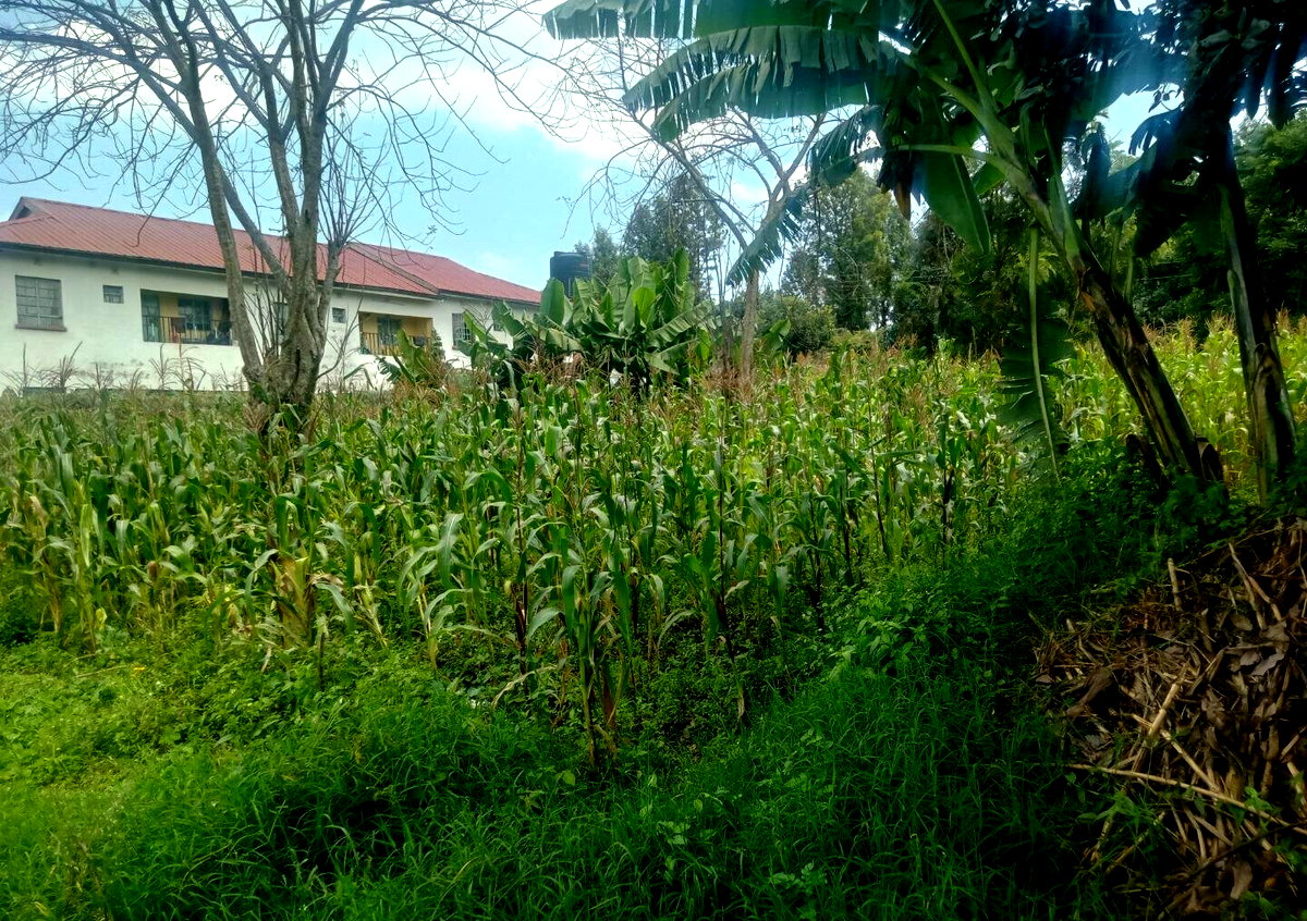 KSh 10M Wangigi Plot