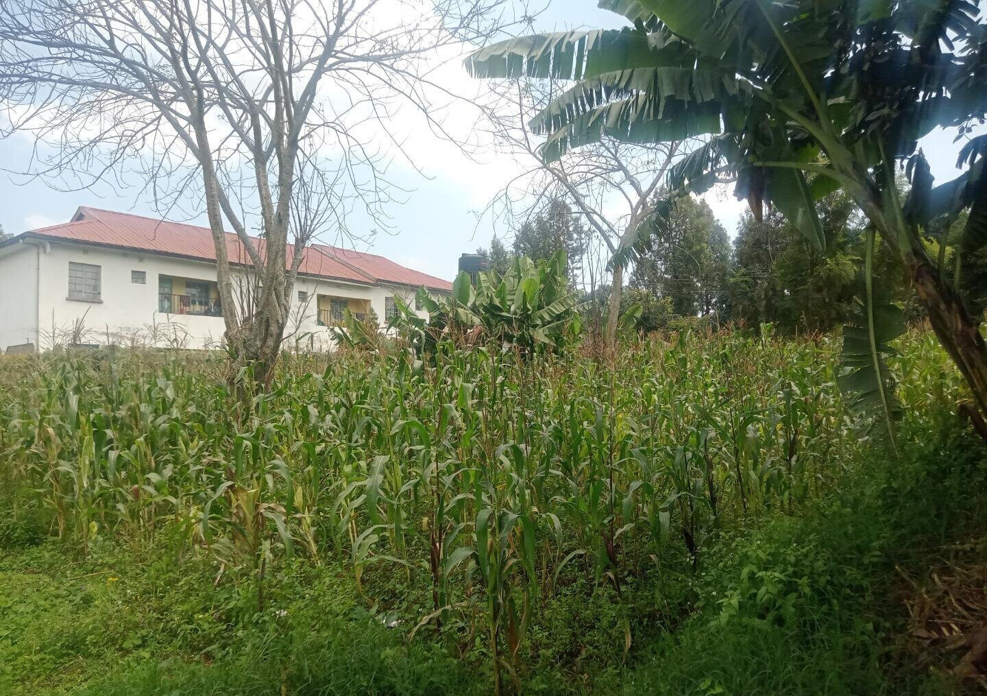 KSh 10M Wangigi Plot
