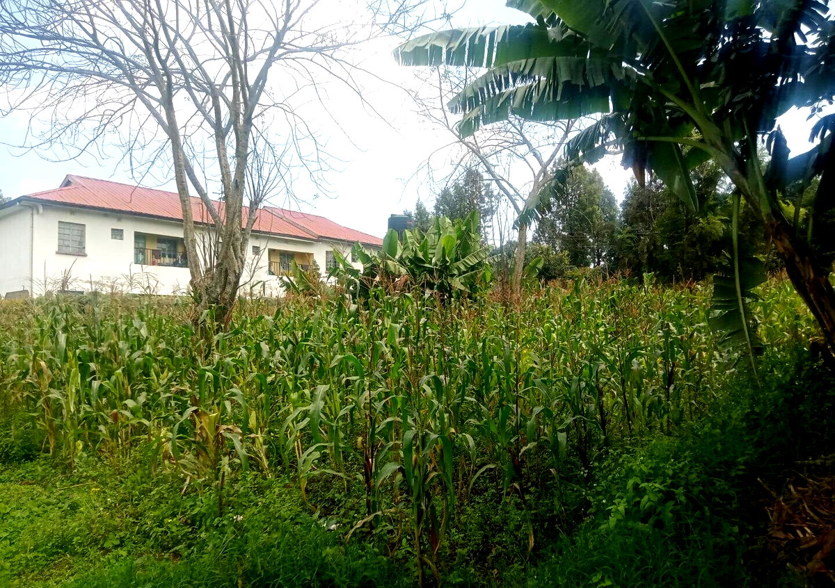 KSh 10M Wangigi Plot