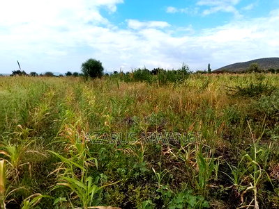 2 Acres of Land at Kakawa Area Embu Mwea - Image 5