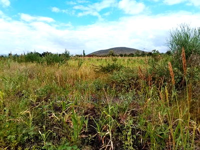 2 Acres of Land at Kakawa Area Embu Mwea - Image 4