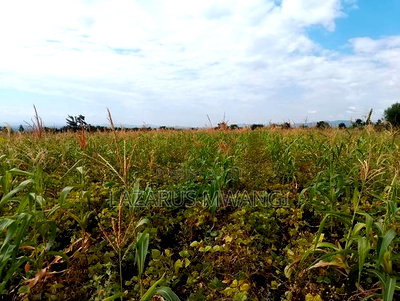 2 Acres of Land at Kakawa Area Embu Mwea - Image 3