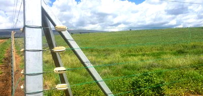 Prime CBD Property - Image 4