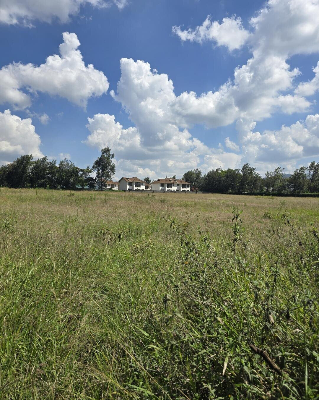 3-Acre Garden Plot with Parking - Kibiku