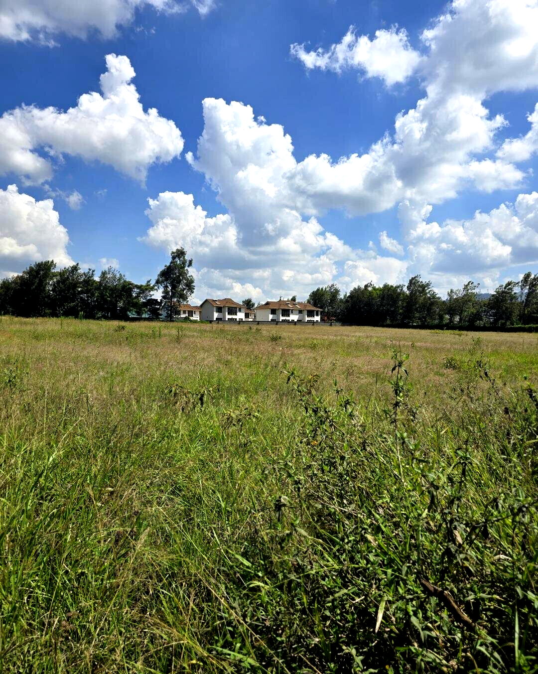 3-Acre Garden Plot with Parking - Kibiku