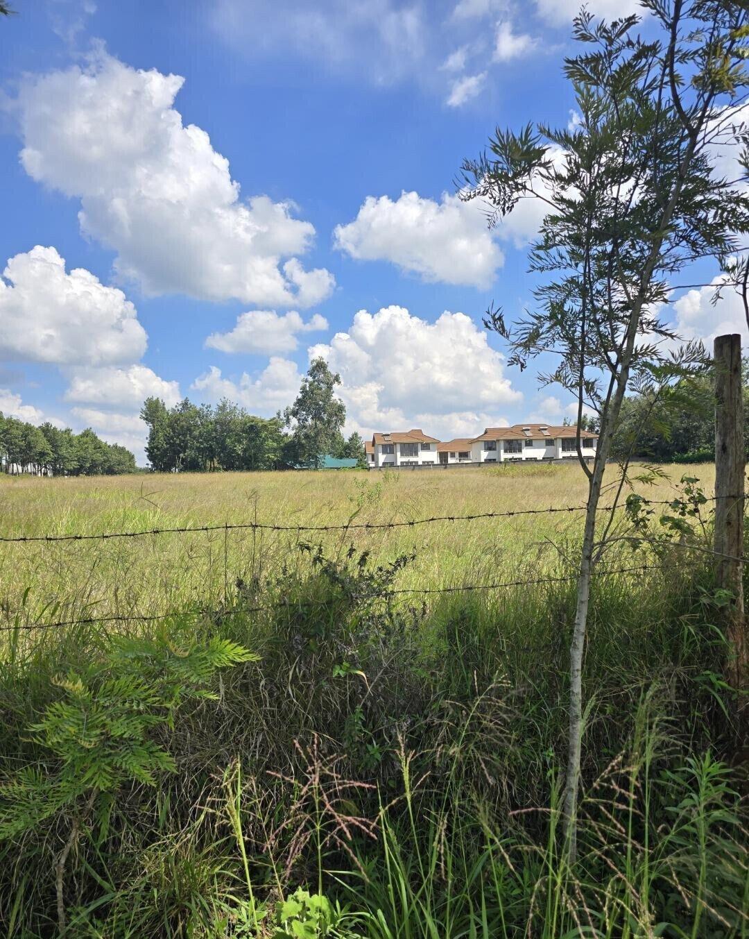 3-Acre Garden Plot with Parking - Kibiku