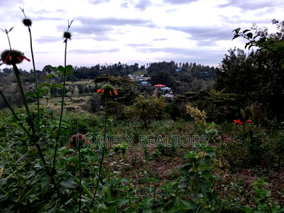 One Acre Piece of Land in Ngong, Olkeri 500 MTRS From Tarmac - Image 2