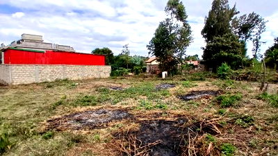 Ready to Build Residential 50 by 100fts Plot in Kikuyu,Gikambura - Image 1