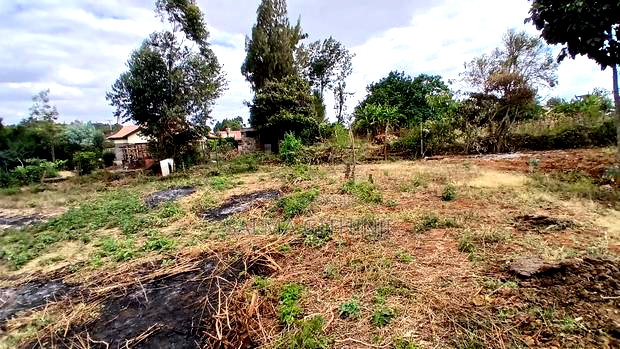 Ready to Build Residential 50 by 100fts Plot in Kikuyu,Gikambura