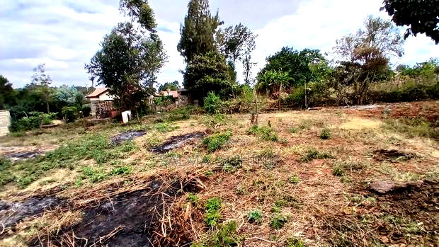 Ready to Build Residential 50 by 100fts Plot in Kikuyu,Gikambura