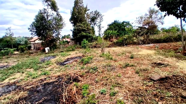 Ready to Build Residential 50 by 100fts Plot in Kikuyu,Gikambura