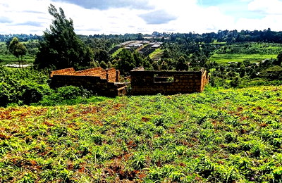 0.66 Acre Plot in Ndumberi