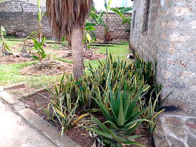 Rental Business for Sale: Ukunda Each in Rental Income. - Image 9