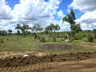 Commercial 1/4 Acre Chakama for Sale - Image 4