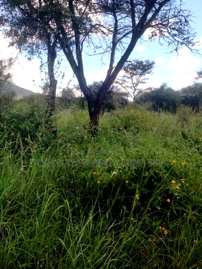 Konza South Land - Image 3