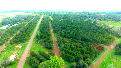 Plots for Sale in Thika - Image 1