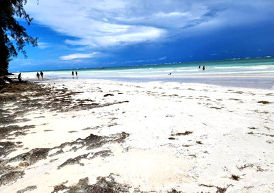 50-Acre Beachfront at KSh 70M