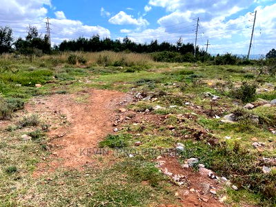 Prime Commercial/ Industrial Land for Sale in Kikuyu Town. - Image 13