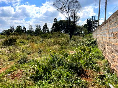 Prime Commercial/ Industrial Land for Sale in Kikuyu Town. - Image 10