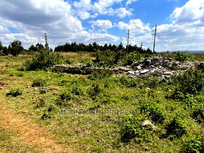 Prime Commercial/ Industrial Land for Sale in Kikuyu Town. - Image 3