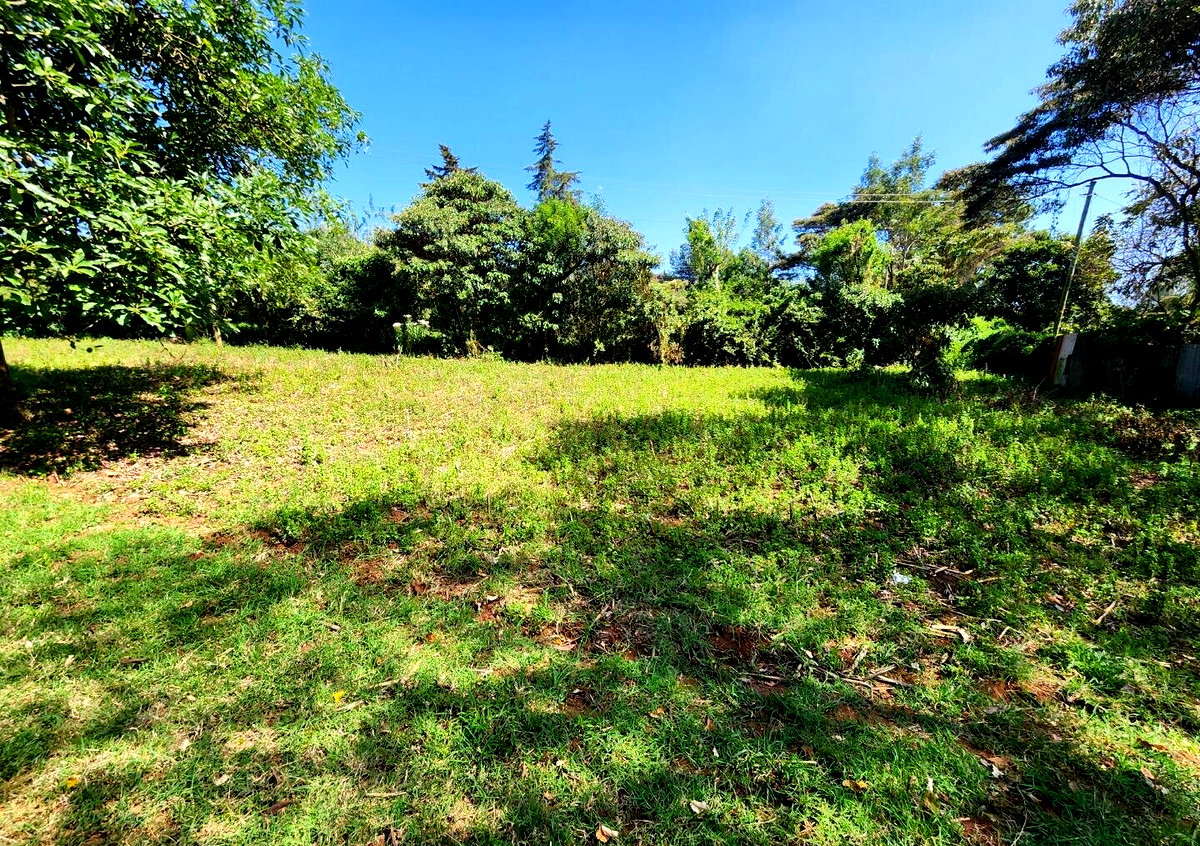 KSh 13M Quarter Acre Plot