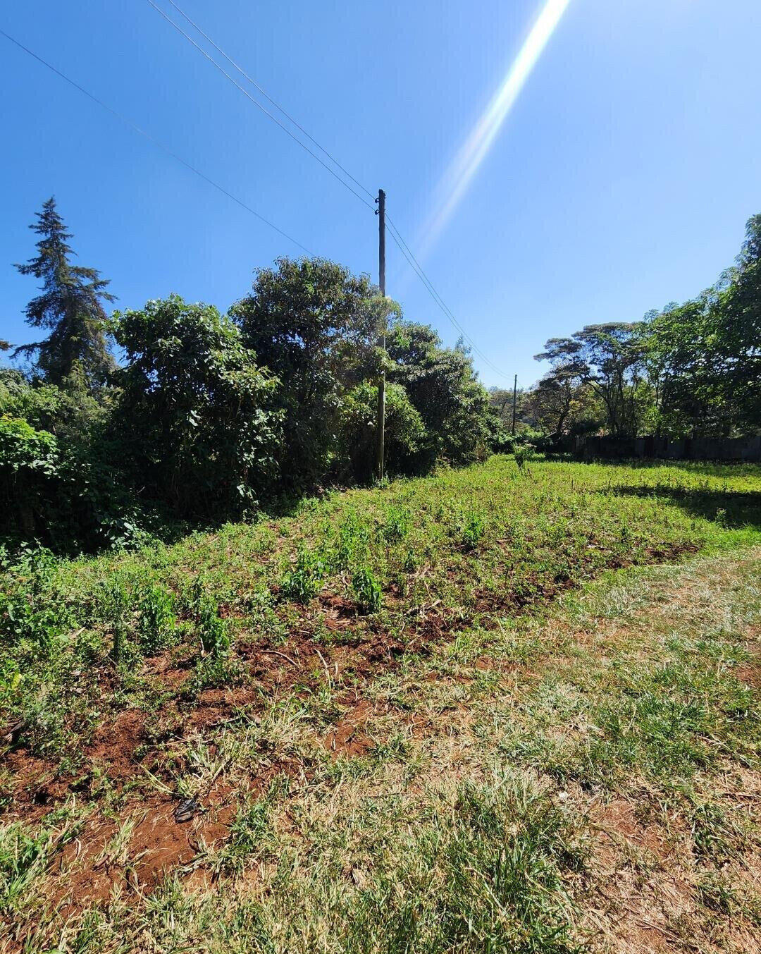 KSh 13M Quarter Acre Plot