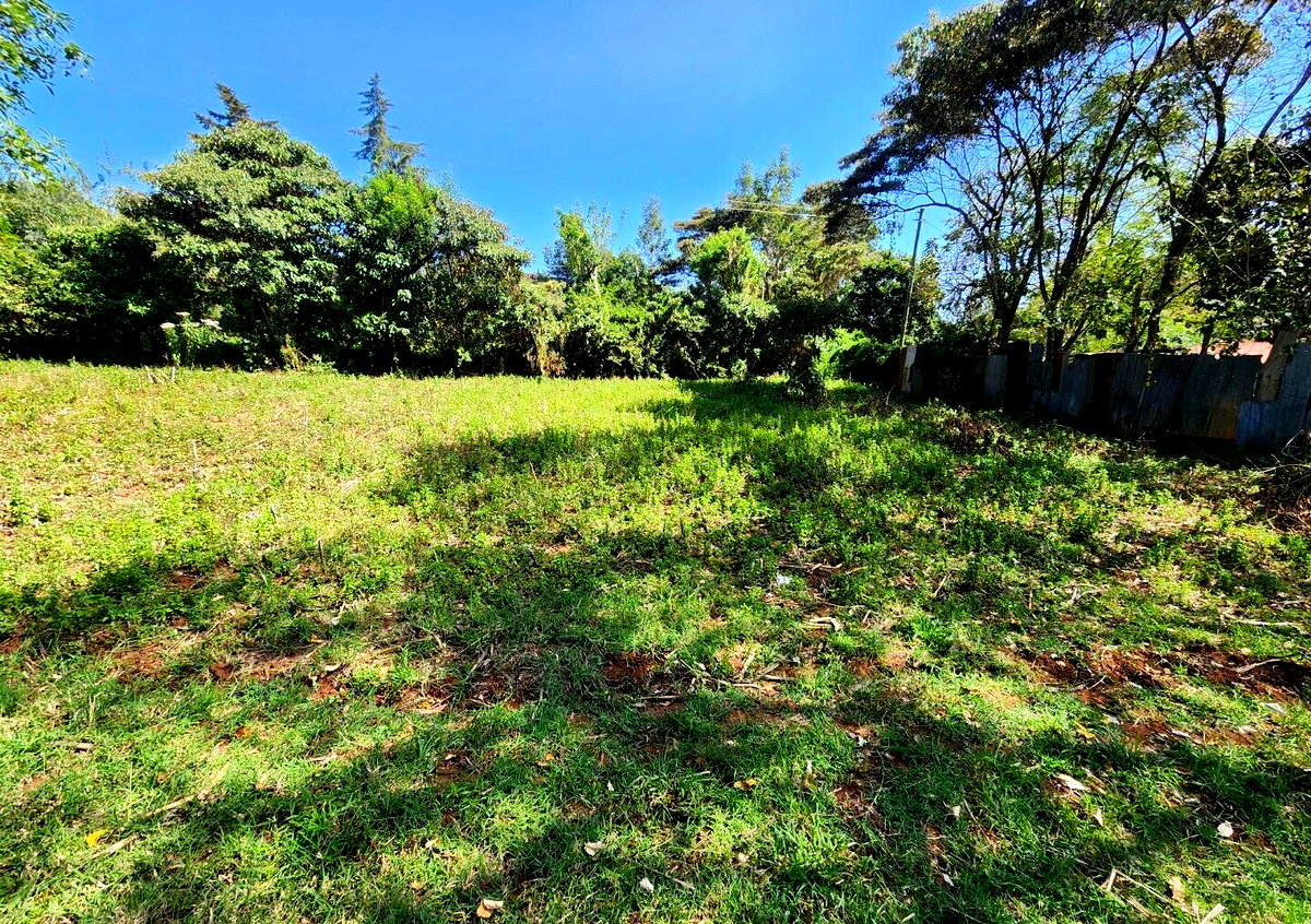 KSh 13M Quarter Acre Plot