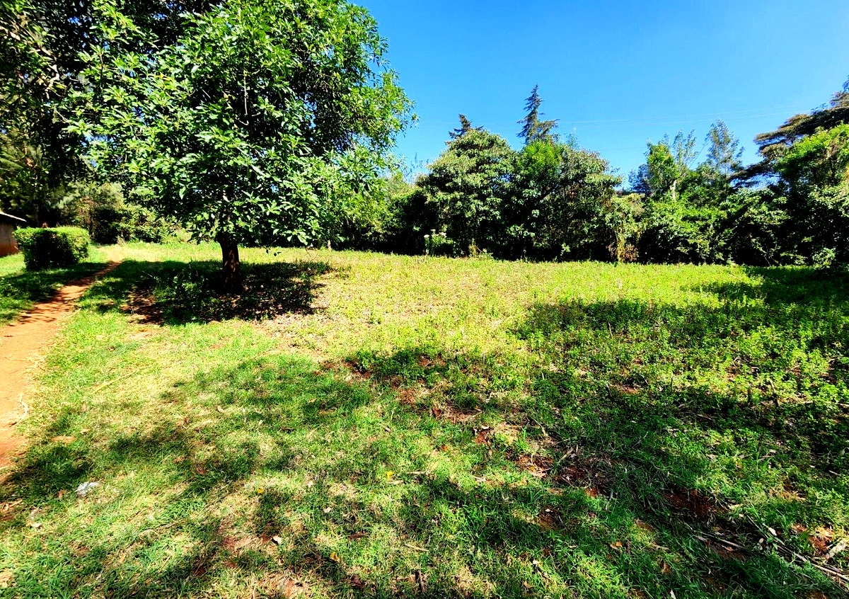 KSh 13M Quarter Acre Plot
