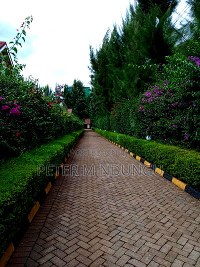 4bdrm Maisonette in Thome for rent - Image 18