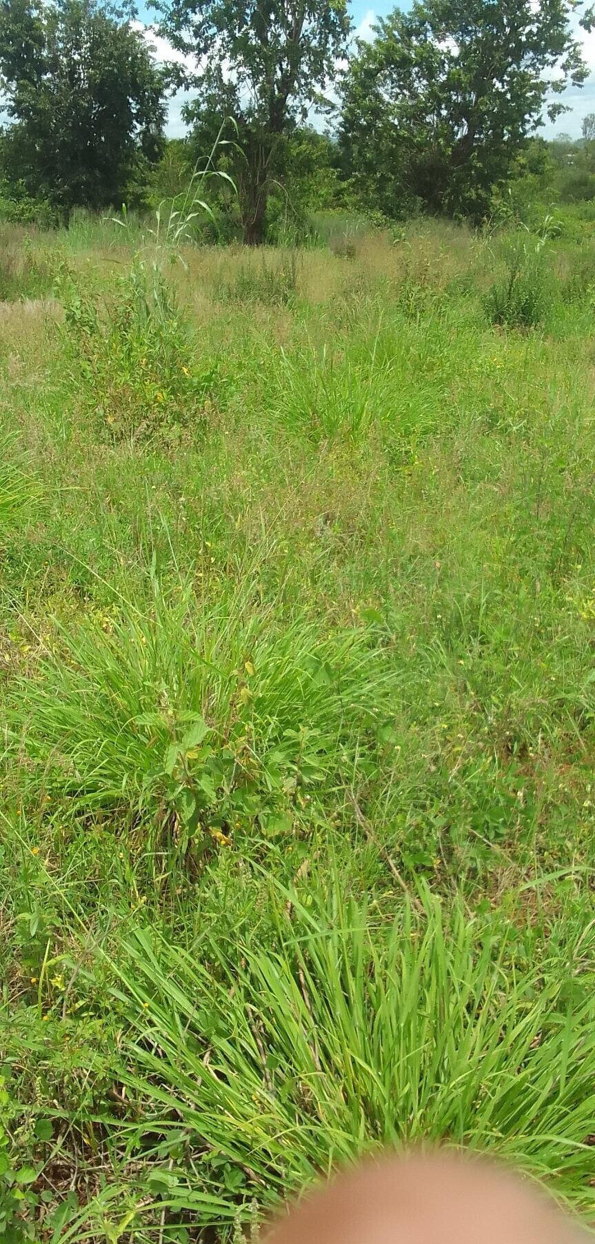 5.7 Acres Commercial Land in Sagana