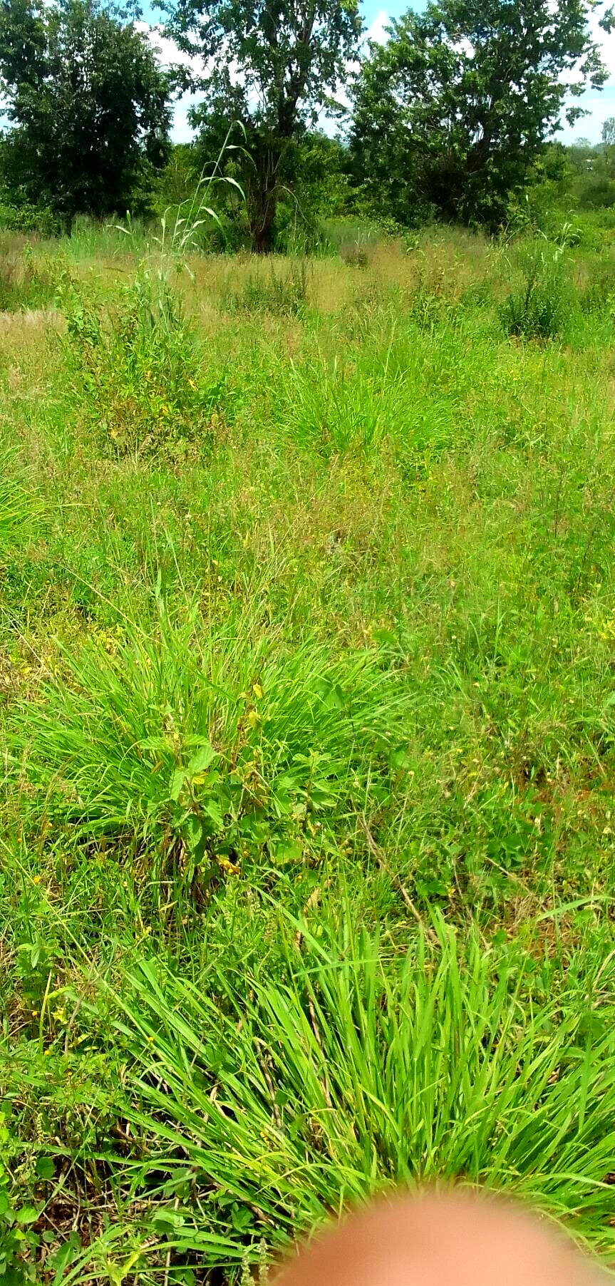 5.7 Acres Commercial Land in Sagana