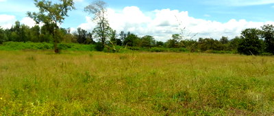5.7 Acres Commercial Land in Sagana