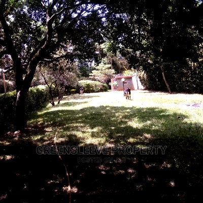 6bdrm Townhouse / Terrace in Karen for rent - Image 3