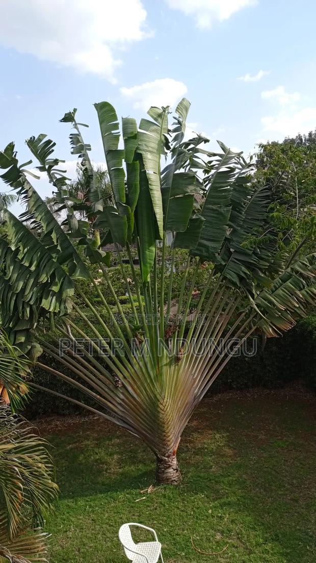 4bdrm Maisonette in Ridgeways for sale