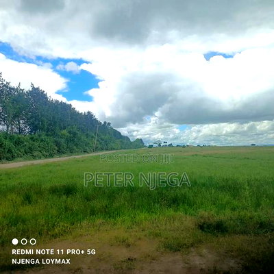 50 Acres Block - Image 2