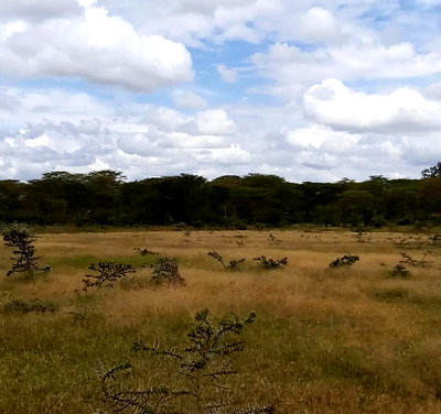 5798 Acres in Laikipia East