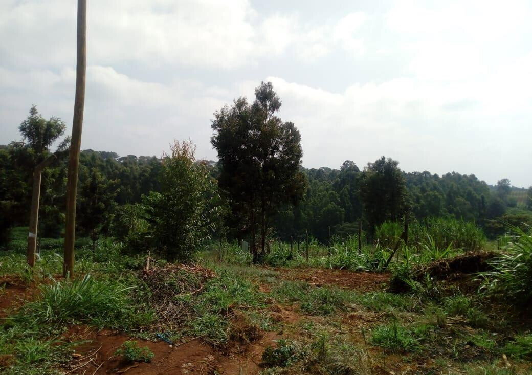 3/4 Acre Plot for KSh 27M