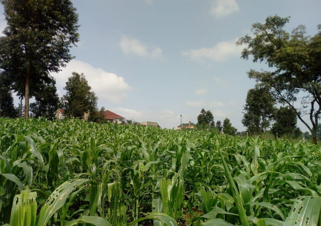 3/4 Acre Plot for KSh 27M