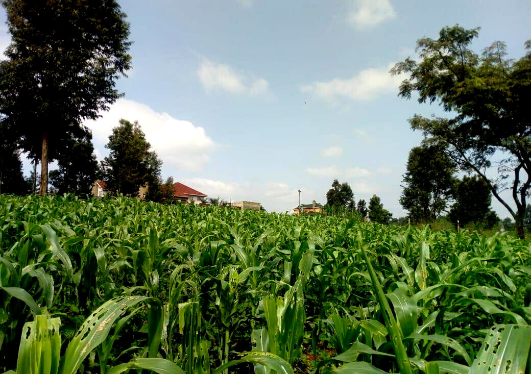 3/4 Acre Plot for KSh 27M