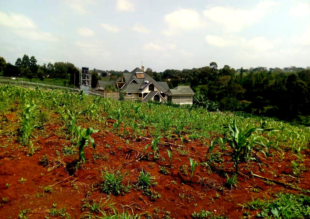 3/4 Acre Plot for KSh 27M
