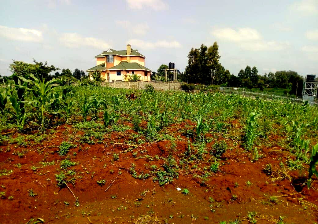 3/4 Acre Plot for KSh 27M