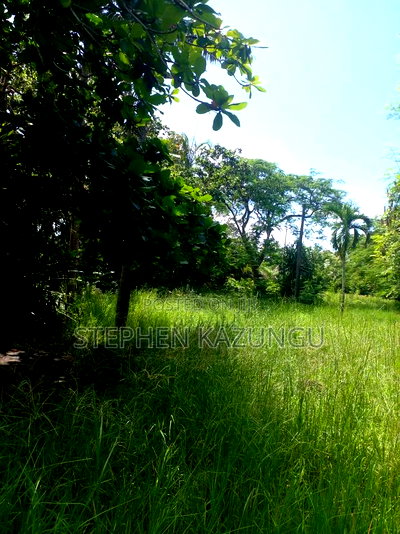 1 Acre Plot on 2nd Row, Tarmac Road Touching in Diani Beach - Image 14