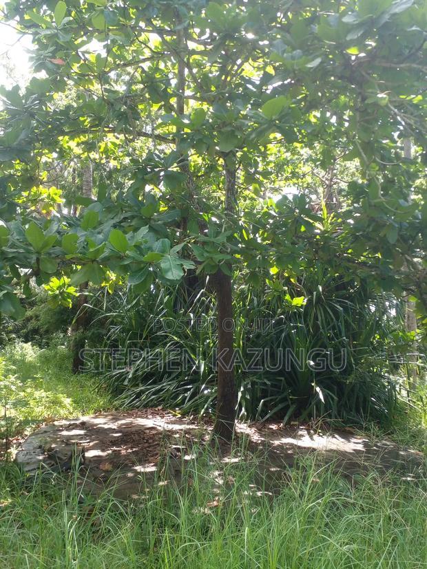 1 Acre Plot on 2nd Row, Tarmac Road Touching in Diani Beach