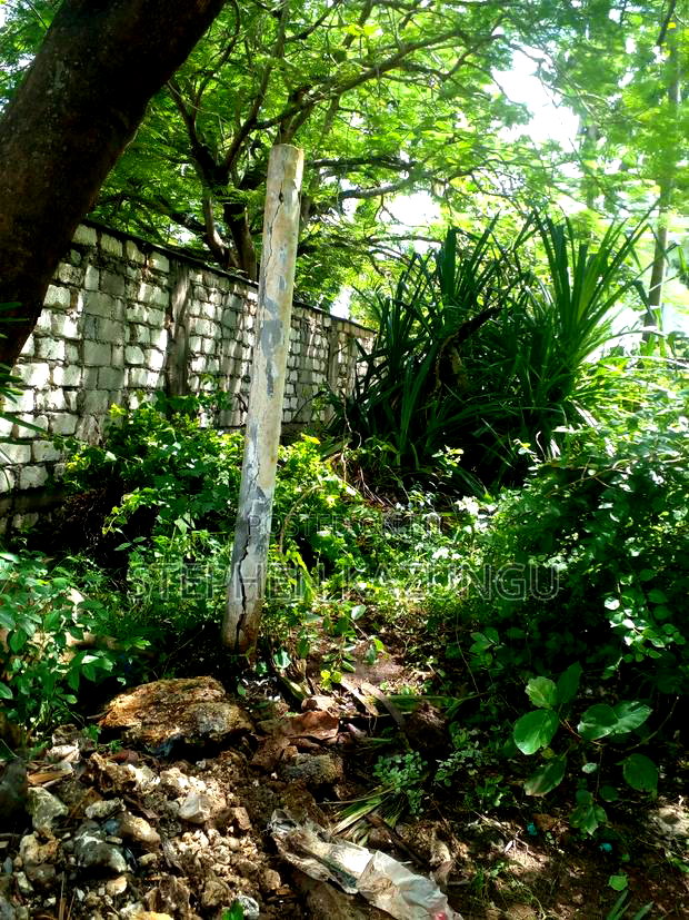 1 Acre Plot on 2nd Row, Tarmac Road Touching in Diani Beach