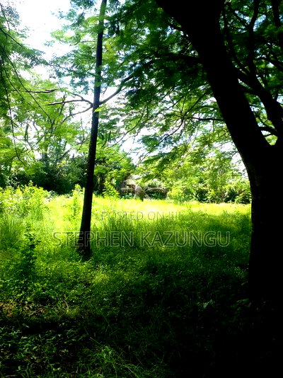 1 Acre Plot on 2nd Row, Tarmac Road Touching in Diani Beach - Image 8