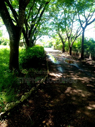 1 Acre Plot on 2nd Row, Tarmac Road Touching in Diani Beach - Image 13