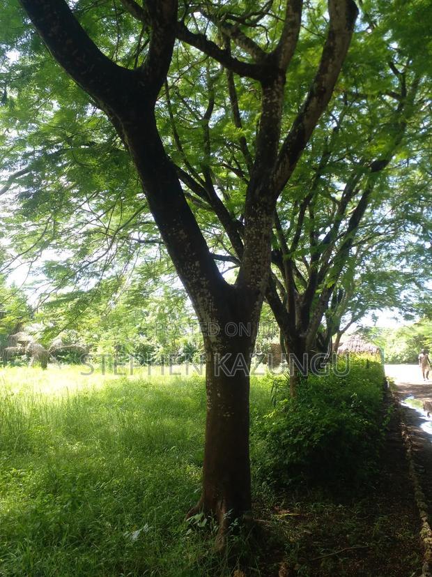 1 Acre Plot on 2nd Row, Tarmac Road Touching in Diani Beach