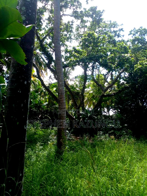 1 Acre Plot on 2nd Row, Tarmac Road Touching in Diani Beach