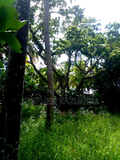 1 Acre Plot on 2nd Row, Tarmac Road Touching in Diani Beach - Image 2