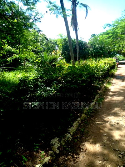 1 Acre Plot on 2nd Row, Tarmac Road Touching in Diani Beach - Image 6